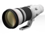 Would you like to have a 500 mm lens?